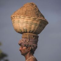 全球沙荒：20年貿(mào)易額增長六倍 中國占亞洲一半，一場全球資源危機！正在愈演愈烈！