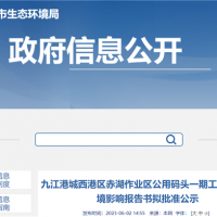 設(shè)計(jì)年通過能力600萬噸！江西九江一碼頭工程即將開建