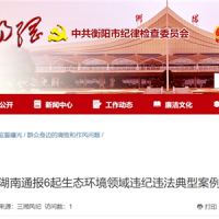 超時、超量、越界采砂！湖南通報6起生態(tài)環(huán)境領(lǐng)域違紀違法典型案例 2起與砂石有關(guān)！
