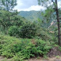 2礦同出！260萬方/年！廣東砂石大礦掛牌出讓